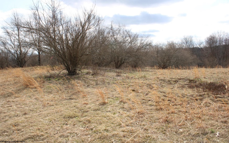 Lot 9 Cascade Ridge, Masontown, West Virginia 26542, ,Lots/land,For Sale,Cascade,10163695