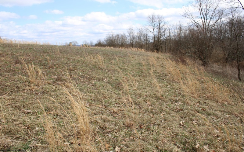 Lot 9 Cascade Ridge, Masontown, West Virginia 26542, ,Lots/land,For Sale,Cascade,10163695