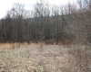 Lot 9 Cascade Ridge, Masontown, West Virginia 26542, ,Lots/land,For Sale,Cascade,10163695