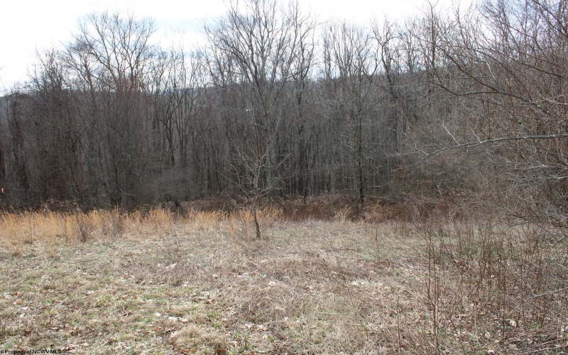 Lot 9 Cascade Ridge, Masontown, West Virginia 26542, ,Lots/land,For Sale,Cascade,10163695