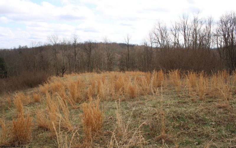 Lot 10 Cascade Ridge, Masontown, West Virginia 26542, ,Lots/land,For Sale,Cascade,10163696