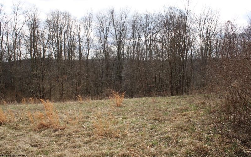Lot 10 Cascade Ridge, Masontown, West Virginia 26542, ,Lots/land,For Sale,Cascade,10163696