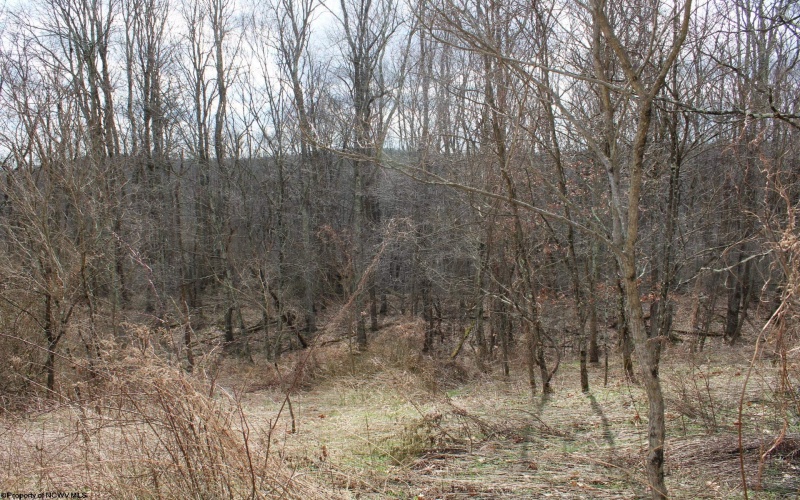 Lot 10 Cascade Ridge, Masontown, West Virginia 26542, ,Lots/land,For Sale,Cascade,10163696