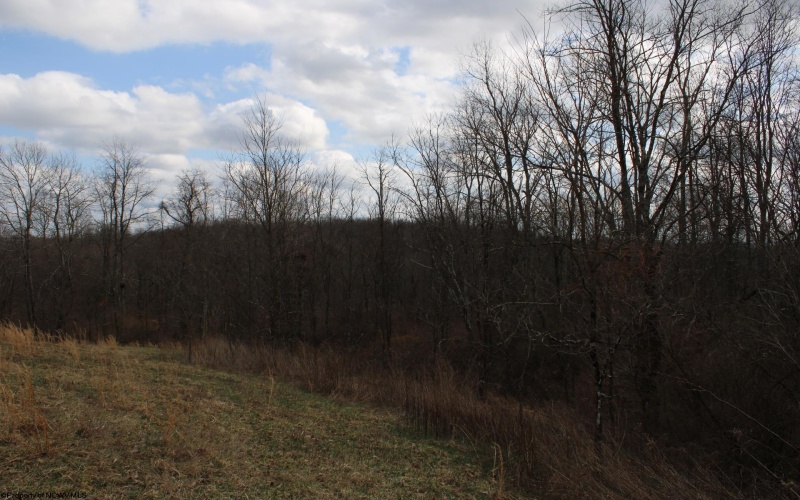 Lot 10 Cascade Ridge, Masontown, West Virginia 26542, ,Lots/land,For Sale,Cascade,10163696