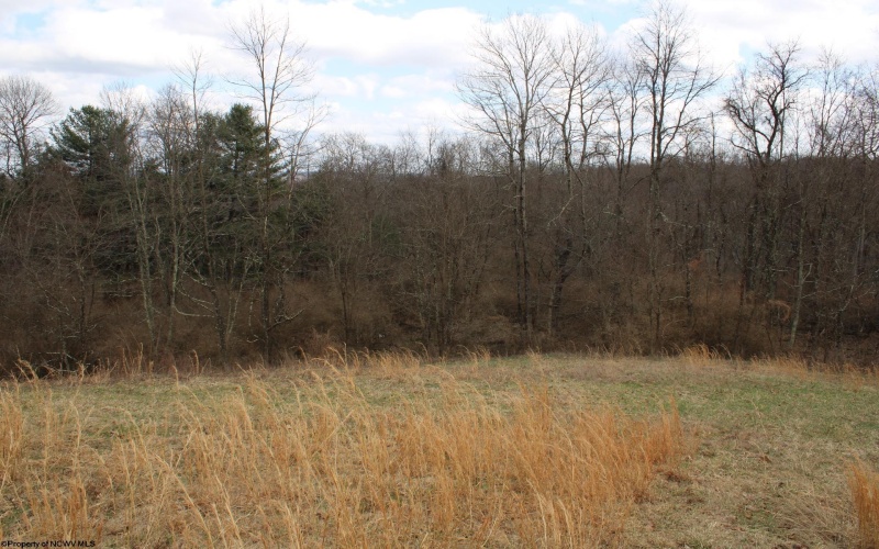 Lot 10 Cascade Ridge, Masontown, West Virginia 26542, ,Lots/land,For Sale,Cascade,10163696