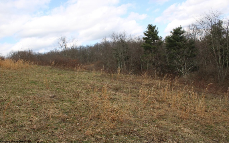 Lot 10 Cascade Ridge, Masontown, West Virginia 26542, ,Lots/land,For Sale,Cascade,10163696