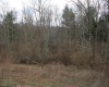 Lot 10 Cascade Ridge, Masontown, West Virginia 26542, ,Lots/land,For Sale,Cascade,10163696