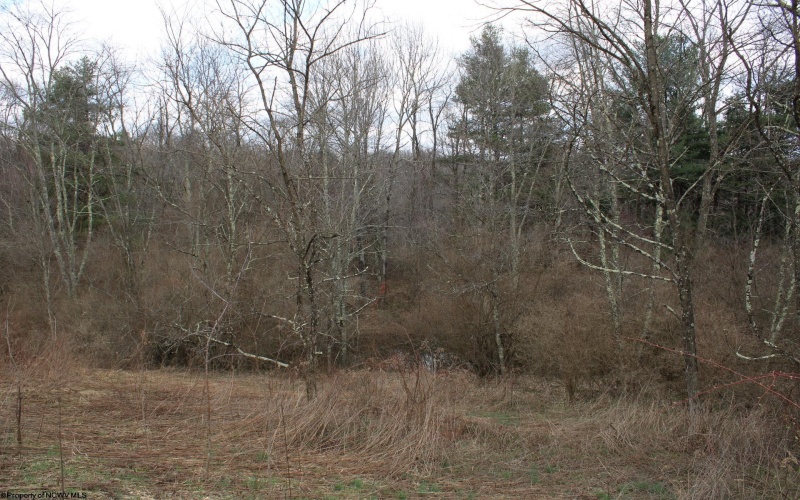 Lot 10 Cascade Ridge, Masontown, West Virginia 26542, ,Lots/land,For Sale,Cascade,10163696