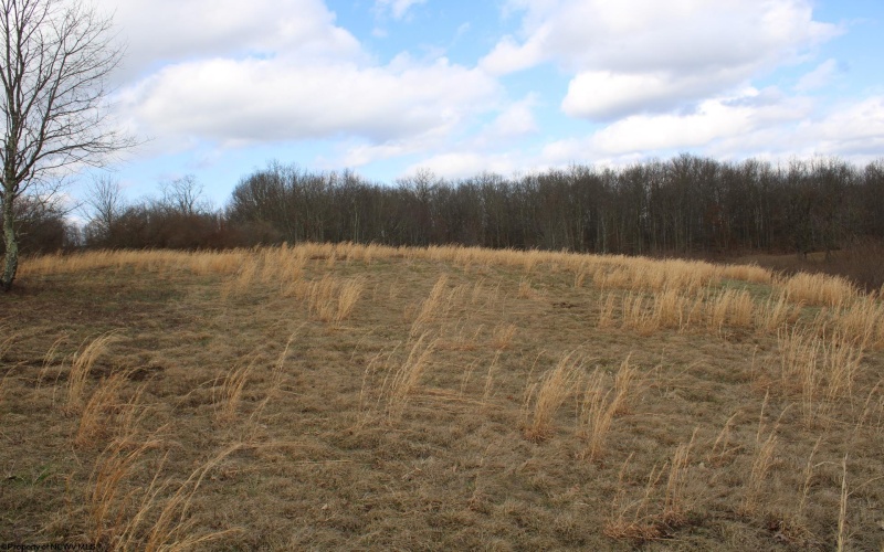Lot 10 Cascade Ridge, Masontown, West Virginia 26542, ,Lots/land,For Sale,Cascade,10163696