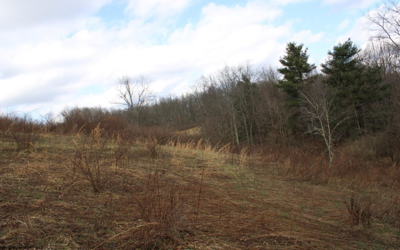 Lot 10 Cascade Ridge, Masontown, West Virginia 26542, ,Lots/land,For Sale,Cascade,10163696