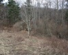 Lot 10 Cascade Ridge, Masontown, West Virginia 26542, ,Lots/land,For Sale,Cascade,10163696