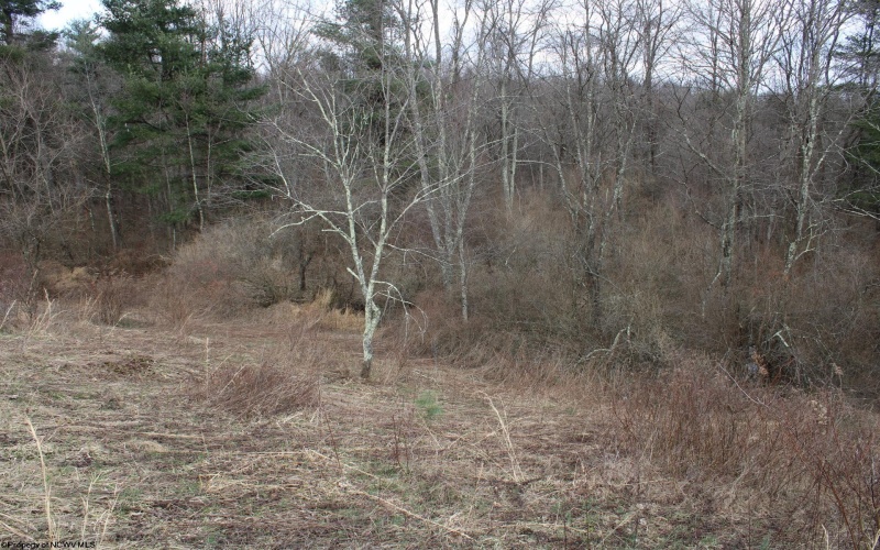 Lot 10 Cascade Ridge, Masontown, West Virginia 26542, ,Lots/land,For Sale,Cascade,10163696
