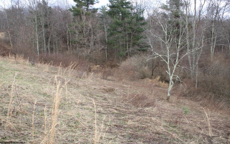 Lot 10 Cascade Ridge, Masontown, West Virginia 26542, ,Lots/land,For Sale,Cascade,10163696