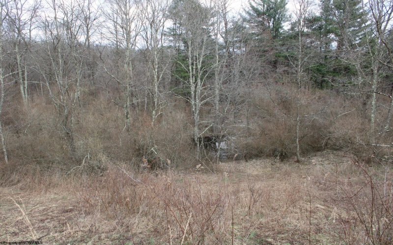 Lot 10 Cascade Ridge, Masontown, West Virginia 26542, ,Lots/land,For Sale,Cascade,10163696