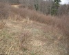 Lot 10 Cascade Ridge, Masontown, West Virginia 26542, ,Lots/land,For Sale,Cascade,10163696