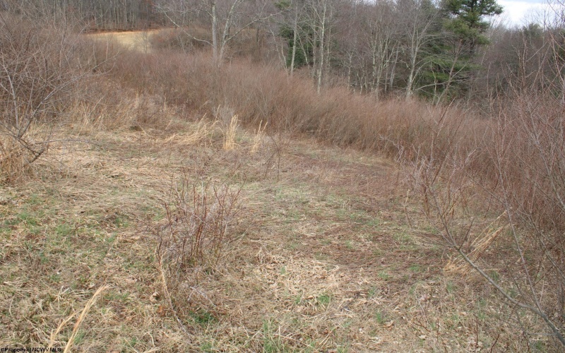 Lot 10 Cascade Ridge, Masontown, West Virginia 26542, ,Lots/land,For Sale,Cascade,10163696