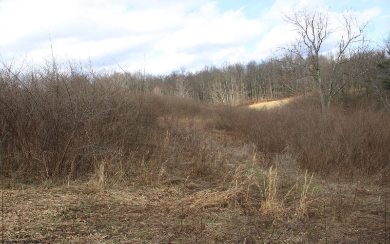 Lot 10 Cascade Ridge, Masontown, West Virginia 26542, ,Lots/land,For Sale,Cascade,10163696