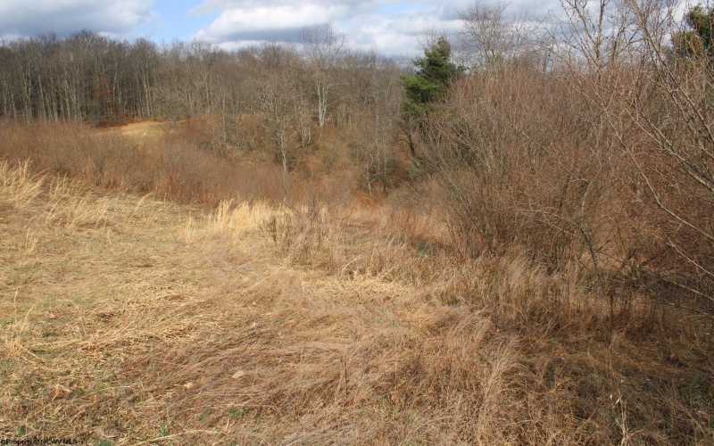 Lot 10 Cascade Ridge, Masontown, West Virginia 26542, ,Lots/land,For Sale,Cascade,10163696