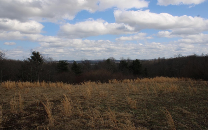 Lot 10 Cascade Ridge, Masontown, West Virginia 26542, ,Lots/land,For Sale,Cascade,10163696