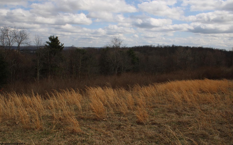Lot 10 Cascade Ridge, Masontown, West Virginia 26542, ,Lots/land,For Sale,Cascade,10163696