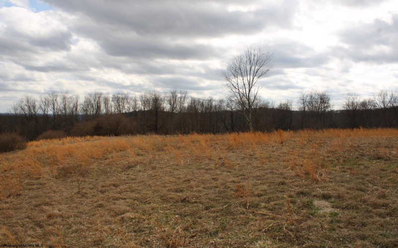 Lot 10 Cascade Ridge, Masontown, West Virginia 26542, ,Lots/land,For Sale,Cascade,10163696
