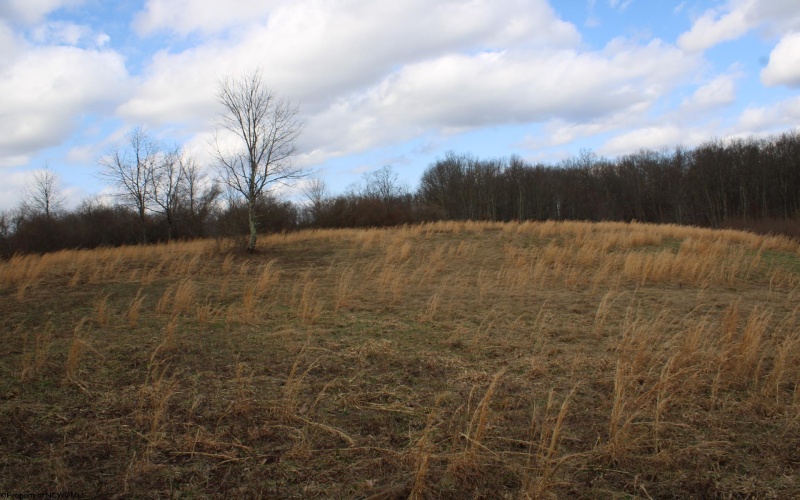 Lot 10 Cascade Ridge, Masontown, West Virginia 26542, ,Lots/land,For Sale,Cascade,10163696
