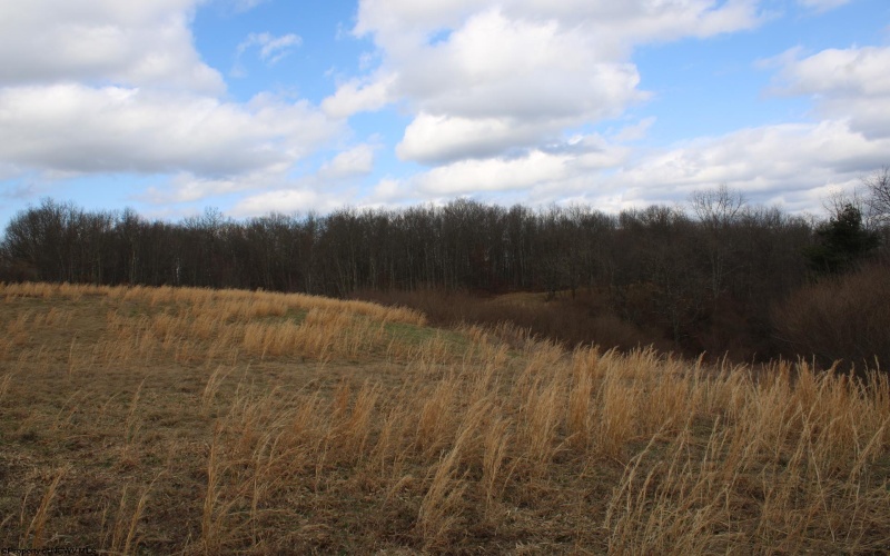 Lot 10 Cascade Ridge, Masontown, West Virginia 26542, ,Lots/land,For Sale,Cascade,10163696