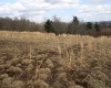 Lot 10 Cascade Ridge, Masontown, West Virginia 26542, ,Lots/land,For Sale,Cascade,10163696
