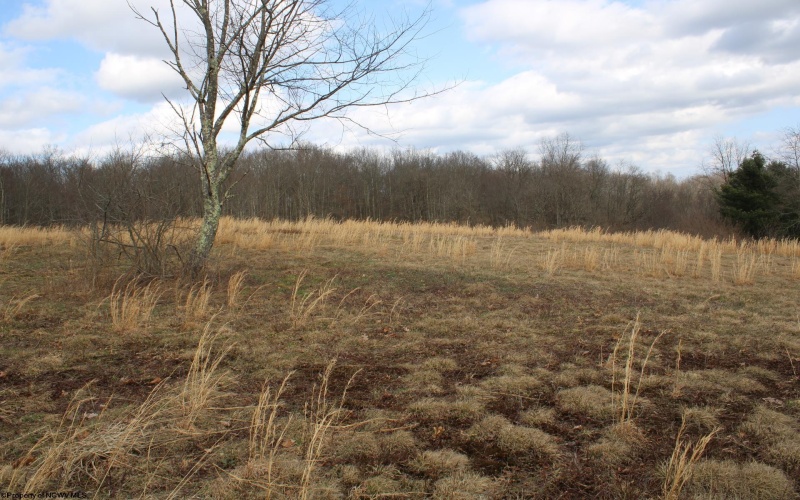 Lot 10 Cascade Ridge, Masontown, West Virginia 26542, ,Lots/land,For Sale,Cascade,10163696