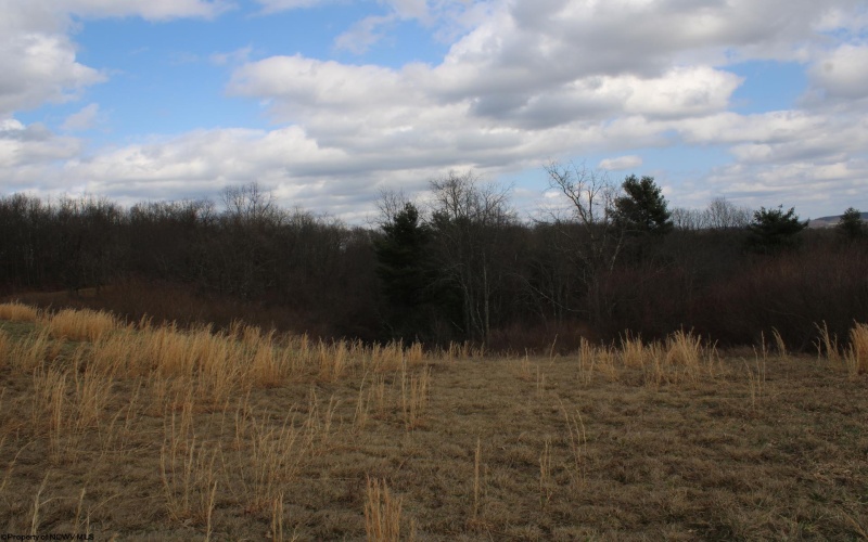 Lot 10 Cascade Ridge, Masontown, West Virginia 26542, ,Lots/land,For Sale,Cascade,10163696