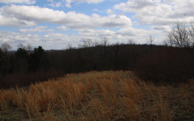 Lot 10 Cascade Ridge, Masontown, West Virginia 26542, ,Lots/land,For Sale,Cascade,10163696