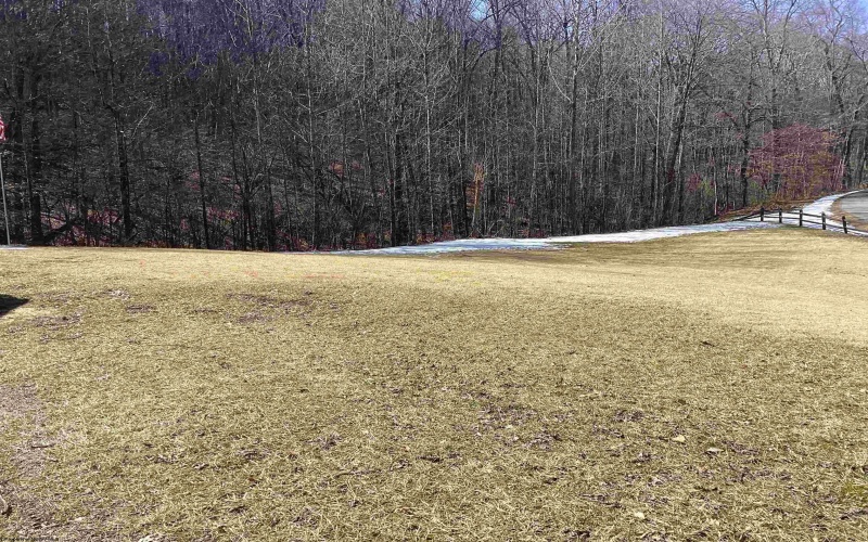 16 Mountain Aire Boulevard, Elkins, West Virginia 26241, 4 Bedrooms Bedrooms, 8 Rooms Rooms,3 BathroomsBathrooms,Single Family Detached,For Sale,Mountain Aire,10163707 16 Mountain Aire Boulevard, Elkins, West Virginia 26241, 4 Bedrooms Bedrooms, 8 Rooms Rooms,3 BathroomsBathrooms,Single Family Detached,For Sale,Mountain Aire,10163707