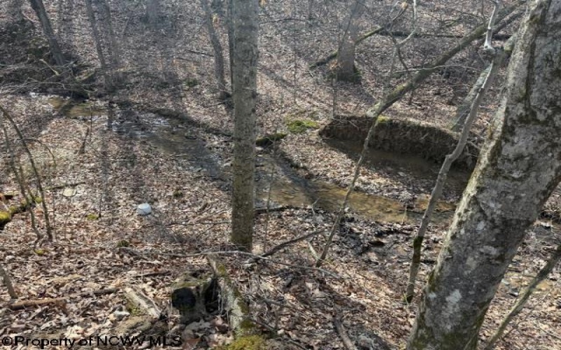 16 Mountain Aire Boulevard, Elkins, West Virginia 26241, 4 Bedrooms Bedrooms, 8 Rooms Rooms,3 BathroomsBathrooms,Single Family Detached,For Sale,Mountain Aire,10163707