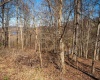 Lot 41 Falling Water Lane, Morgantown, West Virginia 26508, ,Lots/land,For Sale,Falling Water,10163699