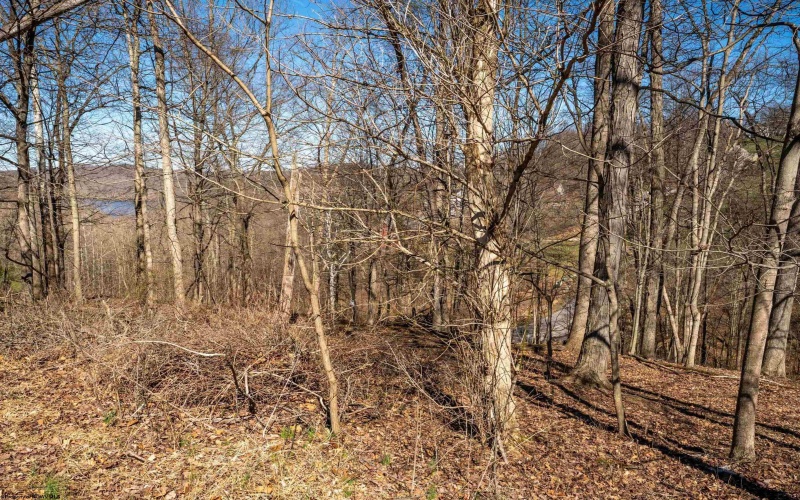 Lot 41 Falling Water Lane, Morgantown, West Virginia 26508, ,Lots/land,For Sale,Falling Water,10163699