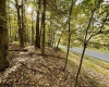 Lots 40 and 41 E. Alpine Drive, Terra Alta, West Virginia 26764, ,Lots/land,For Sale,E. Alpine,10163724