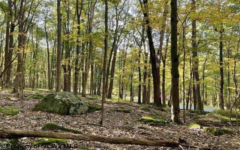 Lots 40 and 41 E. Alpine Drive, Terra Alta, West Virginia 26764, ,Lots/land,For Sale,E. Alpine,10163724