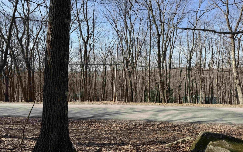 Lots 40 and 41 E. Alpine Drive, Terra Alta, West Virginia 26764, ,Lots/land,For Sale,E. Alpine,10163724