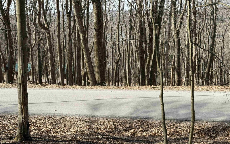 Lots 40 and 41 E. Alpine Drive, Terra Alta, West Virginia 26764, ,Lots/land,For Sale,E. Alpine,10163724