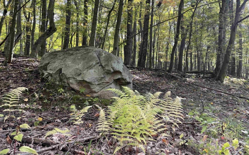 Lots 40 and 41 E. Alpine Drive, Terra Alta, West Virginia 26764, ,Lots/land,For Sale,E. Alpine,10163724