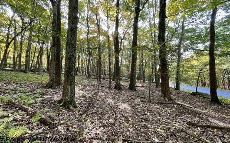 Lots 40 and 41 E. Alpine Drive, Terra Alta, West Virginia 26764, ,Lots/land,For Sale,E. Alpine,10163724