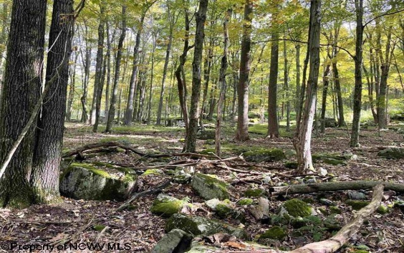 Lots 40 and 41 E. Alpine Drive, Terra Alta, West Virginia 26764, ,Lots/land,For Sale,E. Alpine,10163724