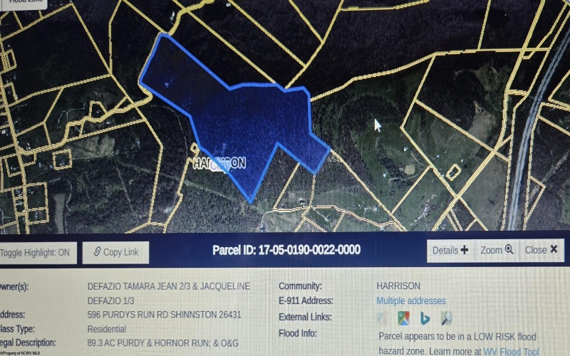 596 Purdy Run Road, Shinnston, West Virginia 26431, ,Lots/land,For Sale,Purdy Run,10163725 596 Purdy Run Road, Shinnston, West Virginia 26431, ,Lots/land,For Sale,Purdy Run,10163725