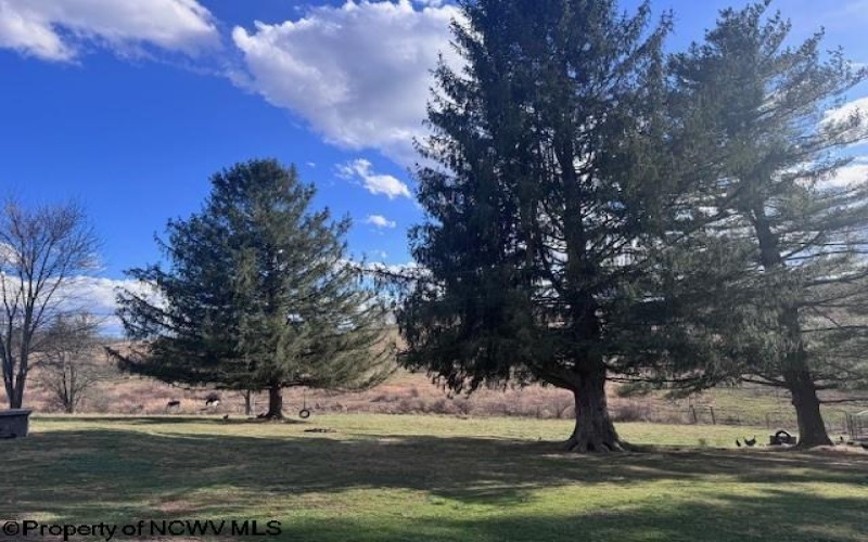 9619 Morgantown Pike, Philippi, West Virginia 26416-0000, 3 Bedrooms Bedrooms, 11 Rooms Rooms,1 BathroomBathrooms,Single Family Detached,For Sale,Morgantown,10163739