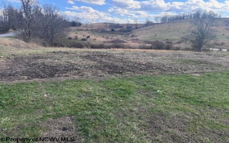 9619 Morgantown Pike, Philippi, West Virginia 26416-0000, 3 Bedrooms Bedrooms, 11 Rooms Rooms,1 BathroomBathrooms,Single Family Detached,For Sale,Morgantown,10163739