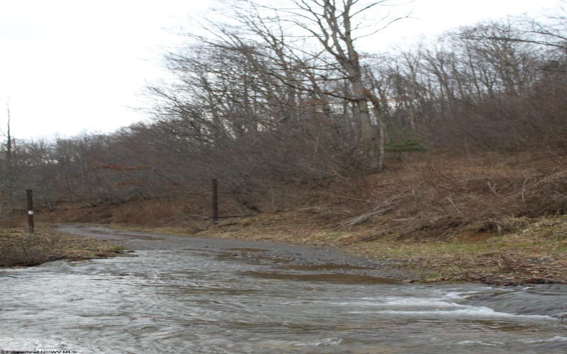 1155 Price Run Road, Webster Springs, West Virginia 26288, ,Lots/land,For Sale,Price Run,10163766