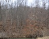 1155 Price Run Road, Webster Springs, West Virginia 26288, ,Lots/land,For Sale,Price Run,10163766
