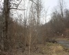 1155 Price Run Road, Webster Springs, West Virginia 26288, ,Lots/land,For Sale,Price Run,10163766