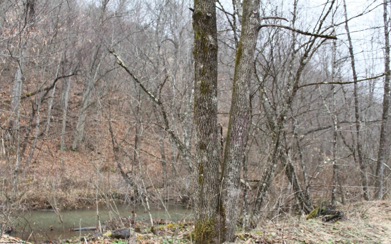 1155 Price Run Road, Webster Springs, West Virginia 26288, ,Lots/land,For Sale,Price Run,10163766