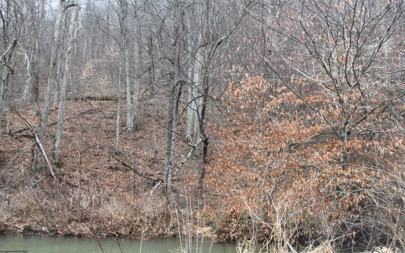 1155 Price Run Road, Webster Springs, West Virginia 26288, ,Lots/land,For Sale,Price Run,10163766